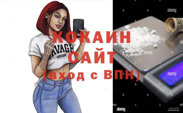 Альфа ПВП Богородск
