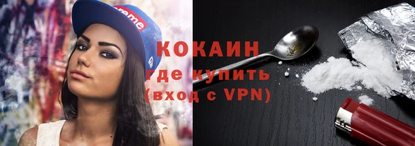 сатива Богданович