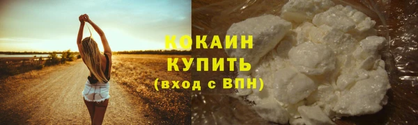 сатива Богданович