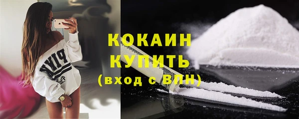 сатива Богданович