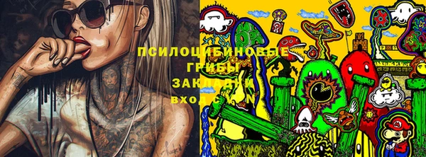 сатива Богданович