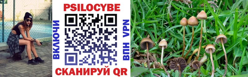 Псилоцибиновые грибы MAGIC MUSHROOMS  Малоярославец 