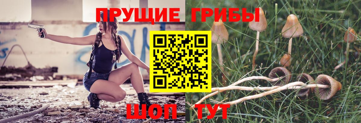 Малоярославец  Галлюциногенные грибы Magic Shrooms  Галлюциногенные грибы MAGIC MUSHROOMS  Вход с VPN 