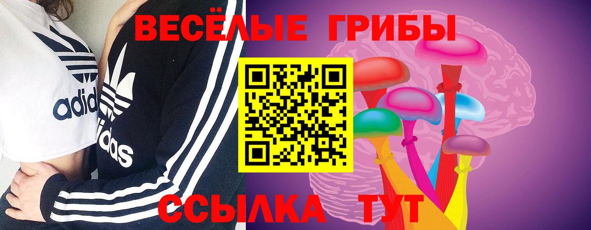 Псилоцибиновые грибы ЛСД Малоярославец